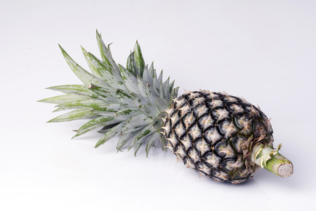 pineappleの写真素材