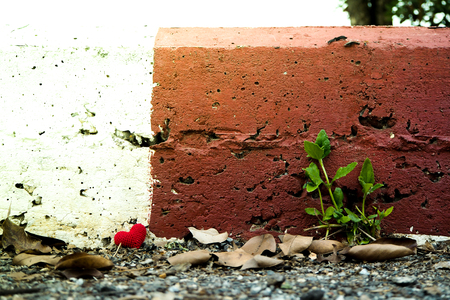 Alone Red heart in everywhere.の写真素材