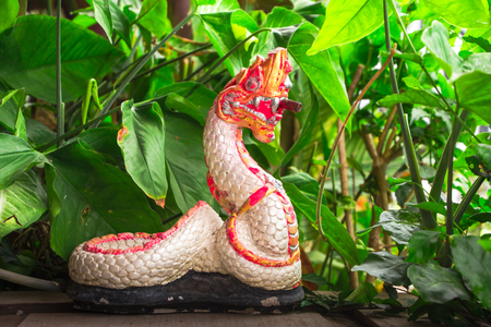King of Nagas in Northern Thailandの写真素材