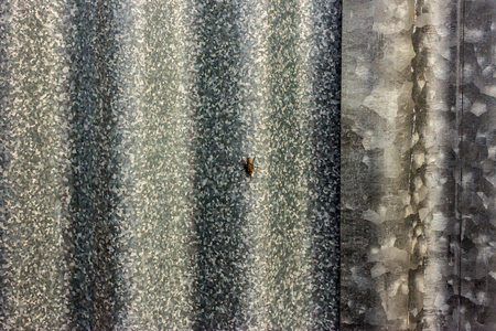 Old zinc surface background The rust on the surface of zinc and fly.の写真素材