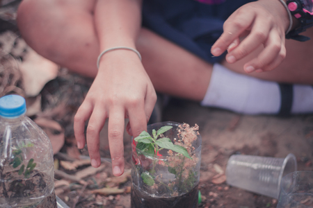 Closeup to Students are planting trees in plastic bottles.の写真素材