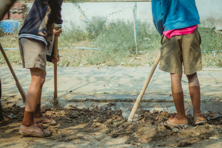 The students help to dig up the grass to prepare the trees.の写真素材
