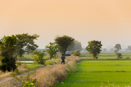 Beautiful rice field before sunset in Kanchanaburi Thailandの写真素材