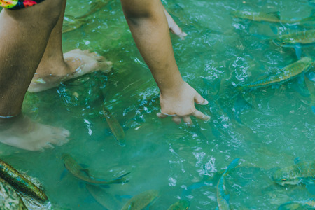 Fish spa, clean foot, healthcare concept with child at Arawan waterfall Kanchanaburi, Thailandの写真素材