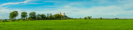 Panorama  View. The scenery of the rice field before sunset at Wat Tham Sua in Kanchanaburi,...