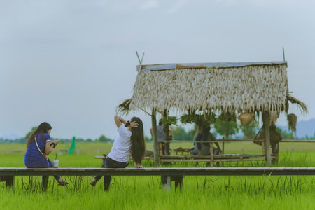 Asian people relax and take a photography on wooden bridge in the rice field in eveningの写真素材
