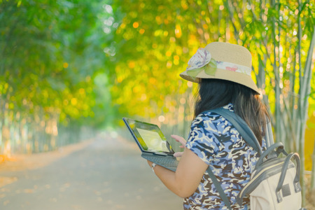 A woman use tablet for business during travel in a bamboo garden.の写真素材