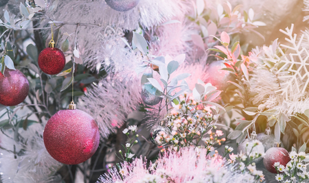 Christmas tree decorate for celebrate a Merry Christmas and a happy new year.の写真素材