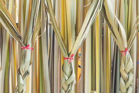 Papyrus sedge build to a backdrop for decoration in country style festival.の写真素材
