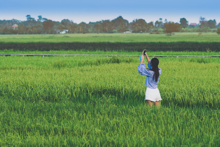 Back view of young woman take a photo by smartphone in the rice fieldsの写真素材