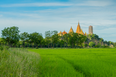 The scenery of the rice field before sunset at Wat Tham Sua in Kanchanaburi, Thailand.の写真素材