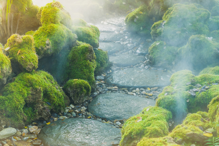 Green mos on stone while water springer spreading in the gardenの写真素材