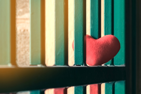 A little red heart pillow on a green steel fence.の写真素材