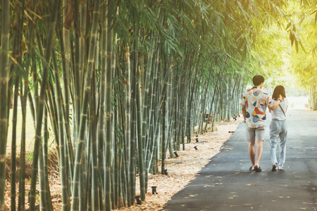 Back view of happiness Male and female couples walking hand in hand and fall in love along the bamboo park in the eveningの写真素材