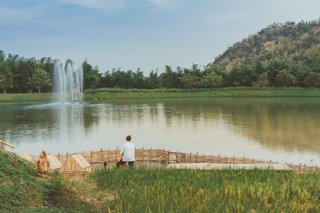 Back view of Mom and son are resting and taking care of their ducks in the eveningの写真素材