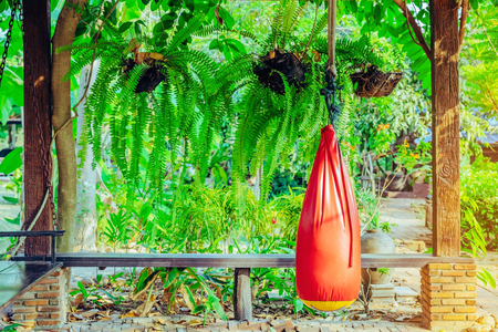 Red sand bag for Muay Thai hanging in the garden living room.の写真素材