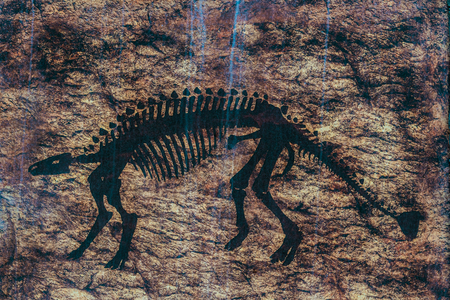 Close up to Colorful and patterns of  dinosaur model surfaces created with cement