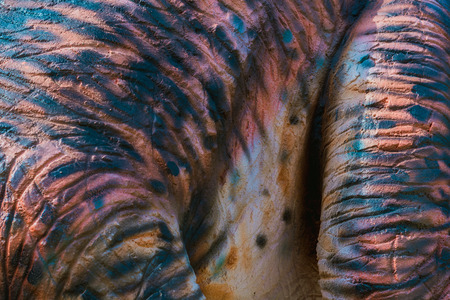 Close up to Colorful and patterns of  dinosaur model surfaces created with cementの写真素材