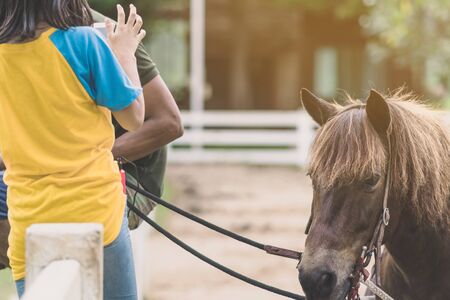Girl in yellow and blue shirt use smartphone to take photos at the horse riding field in the...