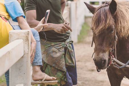 Girl in yellow and blue shirt use smartphone to take photos at the horse riding field in the...