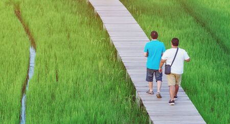 Back view of two male friends walk and take photography along the bamboo path that crossed through the fields in the evening before the sun set down on the horizon.の写真素材