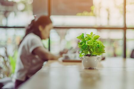 Artificial plants or plastic tree on table for decoration and welcome for customers in coffee shop.の写真素材
