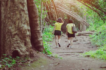 Back view of happiness two female friends in identical clothes walking along hiking trail path in forest woods.の写真素材