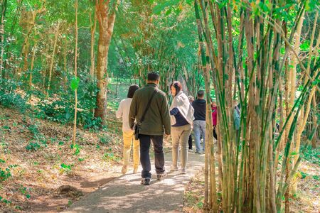 LAMPHUN THAILAND - DECEMBER 9 :  Unidentified tourists taking pictures and selfies while hiking to Ko-luang waterfall on December 9,2019 at  Mae Ping National Park in Lamphun, Thailand.のeditorial素材