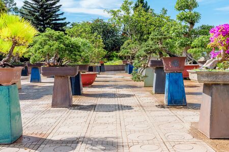 DALAT-VIETNAM-APRIL 27, 2019: Beautiful scenery of famous flower park on april 27, 2019 in DALAT,...