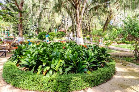 DALAT-VIETNAM-APRIL 27, 2019: Beautiful scenery of famous flower park on april 27,2019 in DALAT, Vietnam.のeditorial素材