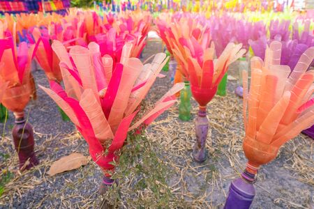 Recycled colorful plastic flowers made from plastic bottles to decorate as flowers in the garden. Plastic bottle recycled.の写真素材