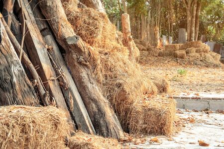Piled stacks of dry straw collected for animal feed. Dry baled hay bales stack.の写真素材