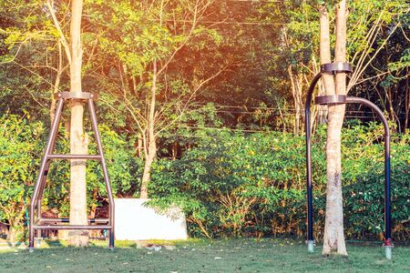 Black steel column supports and controls the branches and trunks of the tree to stand upright and beautiful in the park.の写真素材