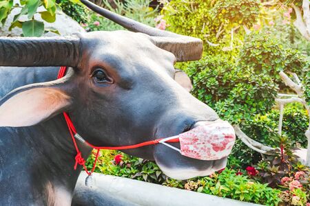 Statue of buffalo wearing mask in the public park to encourage people to wear masks to prevent the...