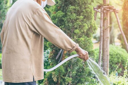 A quarantined elderly man wear a face mask to prevent the spread of the Corona virus (Covid-19) watering plants for exercise in the garden at home. New normal lifestyle.の写真素材