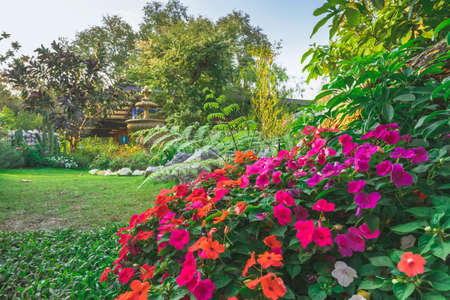 KANCHANABURI,THAILAND - FEBRUARY 14, 2021 : Beautiful garden decoration of Cafe Amazon coffee shop at PTT gas station. Cafe Amazon is a chain of Thai coffeehouses owned by PTT Public Company Limited.のeditorial素材