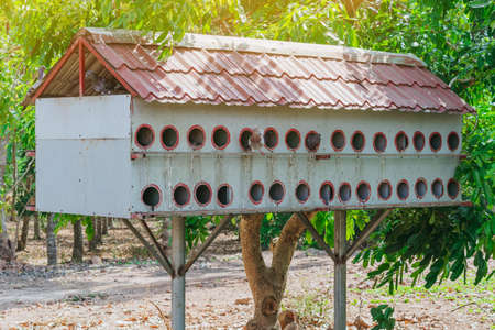 A condominium for the pigeons that Vietnamese people raise for food.の写真素材