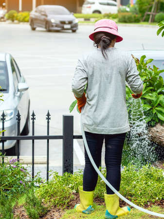Back view of woman gardener wearing  hat in a garden watering hose splashing water on the lawn and tree leafs . Slow living, gardening hobby concept. Watering plants daily housekeeping routine.の写真素材