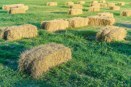 Seats and tables made from straw bales for event and party laid on lawn yard. Straws stubble decorated for sitting in the countryside. Furniture made of pallets and straw bales. Selective focus.の写真素材