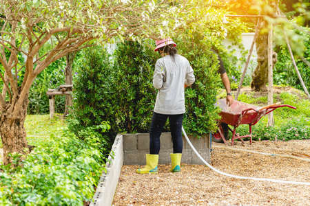 Back view of woman gardener wearing  hat in a garden watering hose splashing water on the lawn and...