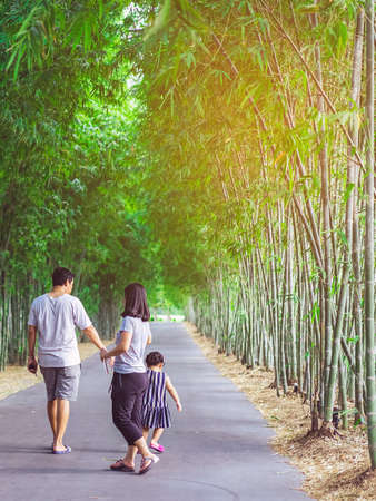 Back view of Asian father hand holding lovely daughter walking on pathway through bamboo garden.Dad and daughter walking together in park. Happy family spending time together outside in green nature.の写真素材