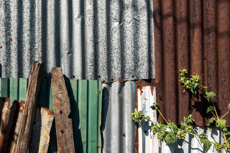 Old and rusty zinc sheet wall. Vintage style metal sheet roof texture. Pattern of old metal sheet. Rusting metal or siding. Corrosion of galvanized. Background and textures in retro concept.の写真素材