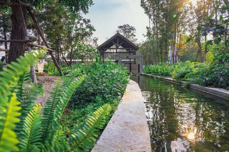 KANCHANABURI,THAILAND - FEBRUARY 19, 2021 : Beautiful garden decoration of Cafe Amazon coffee shop at PTT gas station. Cafe Amazon is a chain of Thai coffeehouses owned by PTT Public Company Limited.のeditorial素材