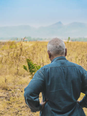Back view of elderly man farmer stand with arms akimbo to look soil quality for farming in field. Senior male agriculturist think about cultivation in meadow. Farm and agricultural after retirement.の写真素材