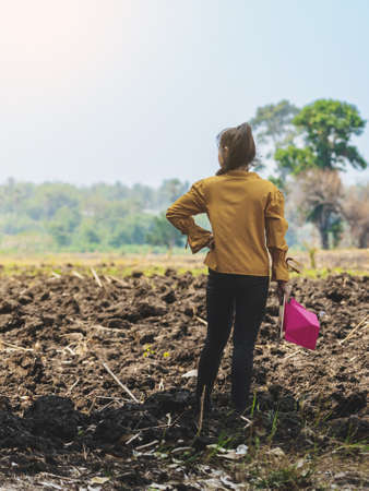 Back view of Asian young woman farmer stand alone with tablet to look soil quality for farming in soil field. Female agriculturist think and plan about cultivation in vacant land.Farm and agriculturalの写真素材