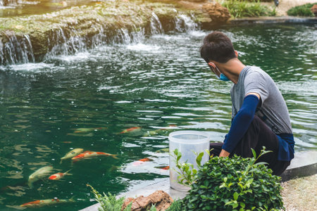 Asian male worker take care and feeding food by hand to his lovely pet. Guy feeding flock of japanese beautiful colorful koi carps fish swimming in pond of japanese garden style. Animal care concept.の写真素材