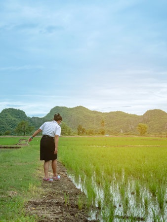 Young female agricultural student wear face mask in uniform study and check rice plants in paddy fields. Asian young woman researcher monitoring quality of rice in farmland. Agriculture study concept.の写真素材