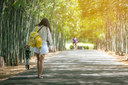 Back view of young woman with photo backpack and holding tripod walks alone to find photoshoot location in bamboo garden. Photographer female fun happy with walking travel nature in the bamboo forest.の写真素材