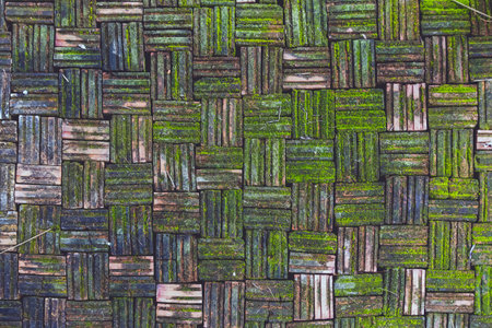 Green moss on covered brick floor. Moss close up, Beautiful background of moss for wallpaper. Fern on concrete. Grunge brick texture with some green moss. Old city road surface. Background and textureの写真素材