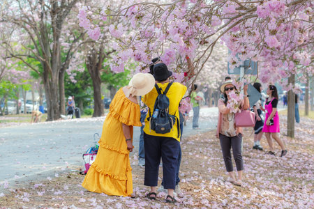 NAKHON PATHOM -THAILAND, MARCH 15 ,2023 : Unidentified Tourists come to visit and take photo with beautiful pink trumpet tree blooming and falling on ground like the pink road at Chompu Pantip Road.のeditorial素材